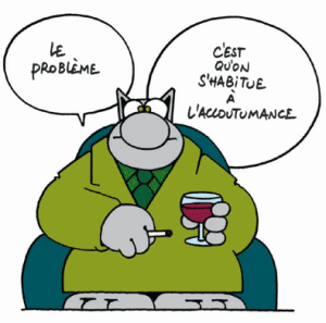 Le chat