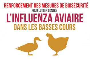 INFLUENZA AVIAIRE